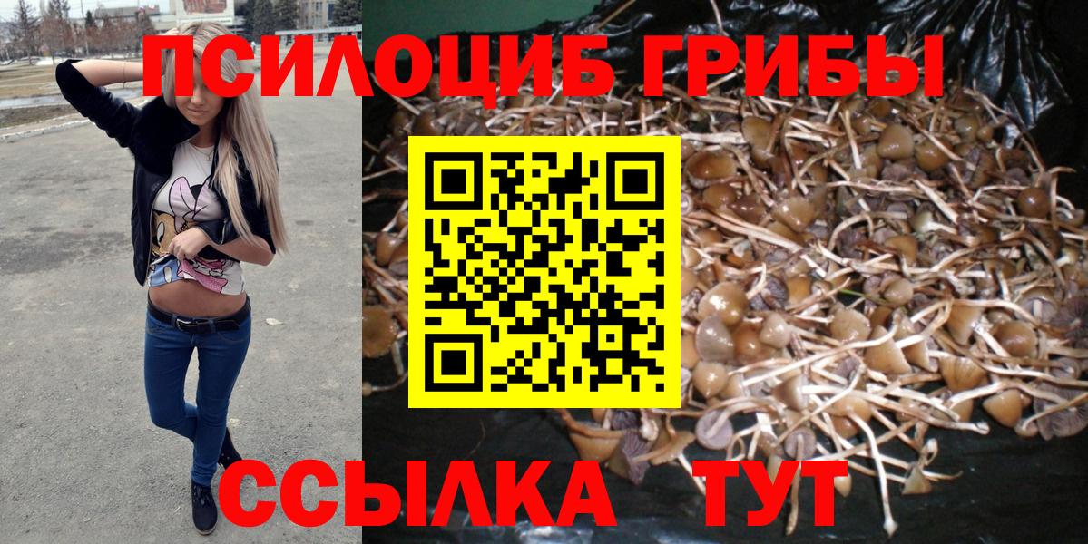 Шелехов  Галлюциногенные грибы Psilocybine cubensis  Вход с VPN 